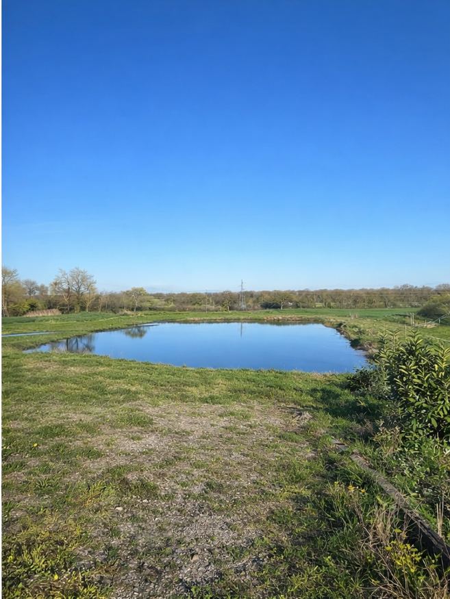 Étang privé avec remorque – Les Pétillières